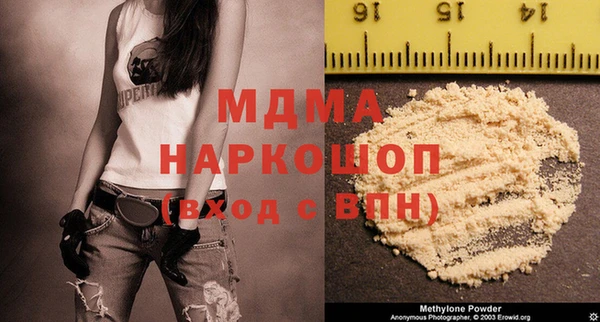 гашик Алексин