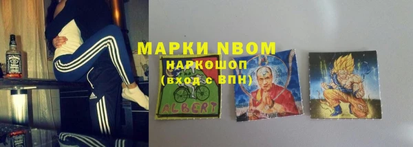 гашик Алексин