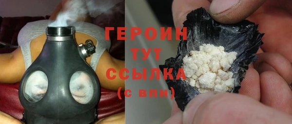 гашик Алексин
