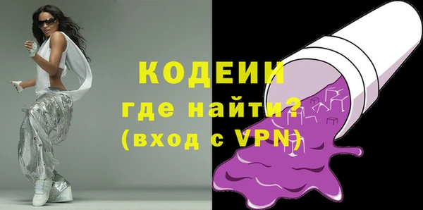 гашик Алексин