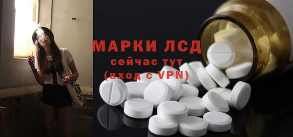 гашик Алексин