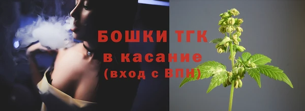 гашик Алексин