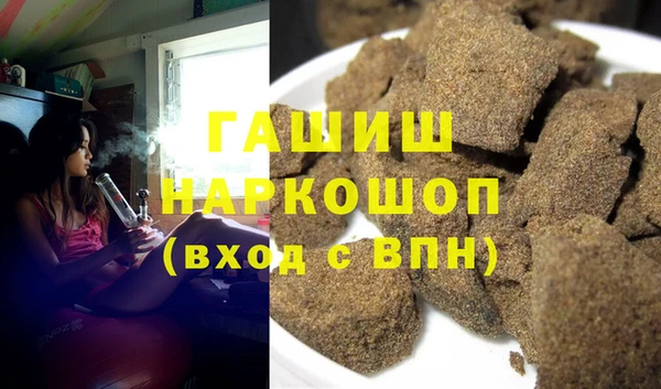 гашик Алексин