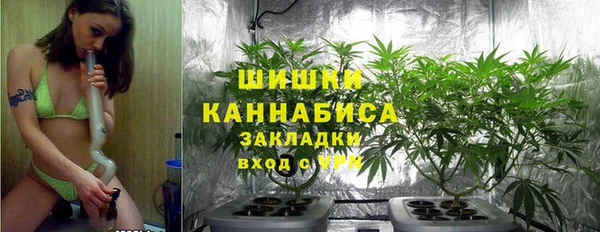 бутират Мегион