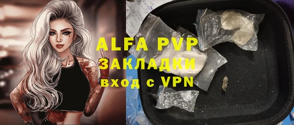 гашик Алексин