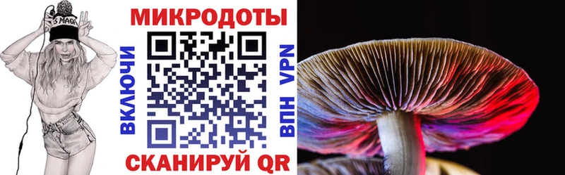 Галлюциногенные грибы Psilocybine cubensis  Нижнеудинск 